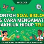 2e556363-1992-4e10-8151-7e8f17c0a6d2