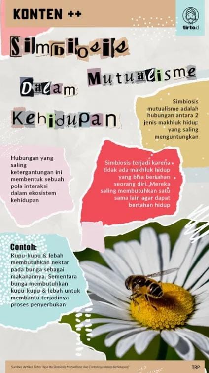 10 contoh simbiosis mutualisme dan artinya dalam ekosistem