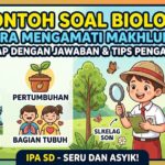ba277649-5c11-475a-9c04-cc799e0a6a11