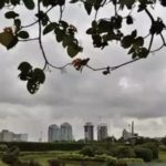 featured_image