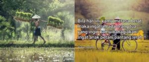 featured_image