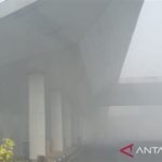 featured_image