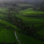 featured_image