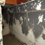 featured_image