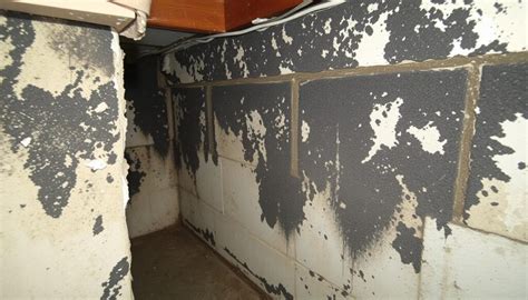 featured_image