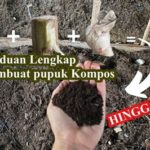 featured_image
