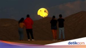featured_image