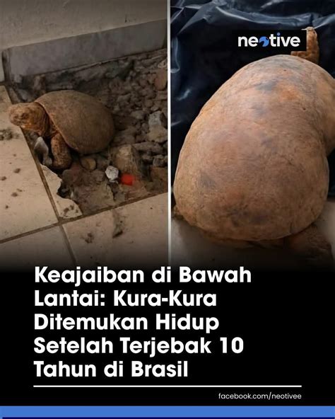 featured_image