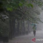 featured_image