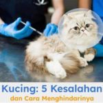 featured_image