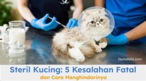 featured_image