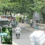 featured_image