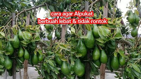 featured_image