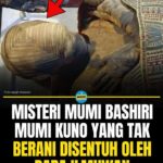 featured_image