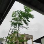 featured_image