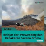 featured_image