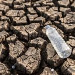 featured_image