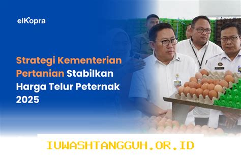 featured_image