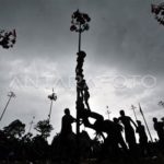 featured_image
