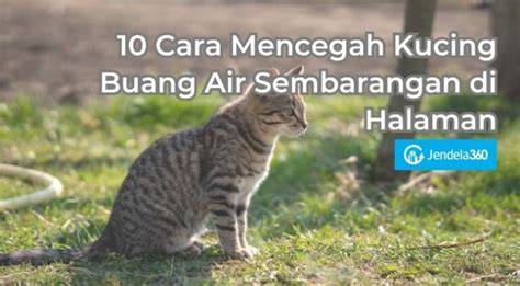 featured_image