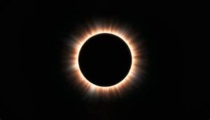 featured_image