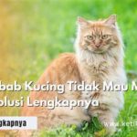 featured_image