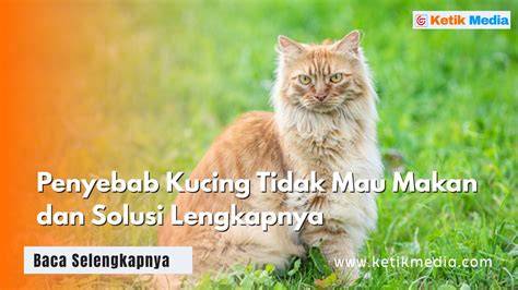 featured_image
