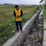 featured_image