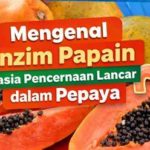featured_image