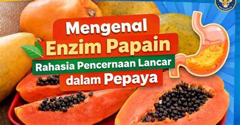featured_image