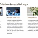 featured_image