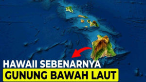 Hawaii Siap Menjadi Kekuatan Baru di Mountain West 2026