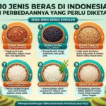 10 Jenis Beras di Indonesia dan Perbedaannya yang Perlu Diketahui