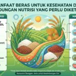 Manfaat Beras untuk Kesehatan dan Kandungan Nutrisi yang Perlu Diketahui