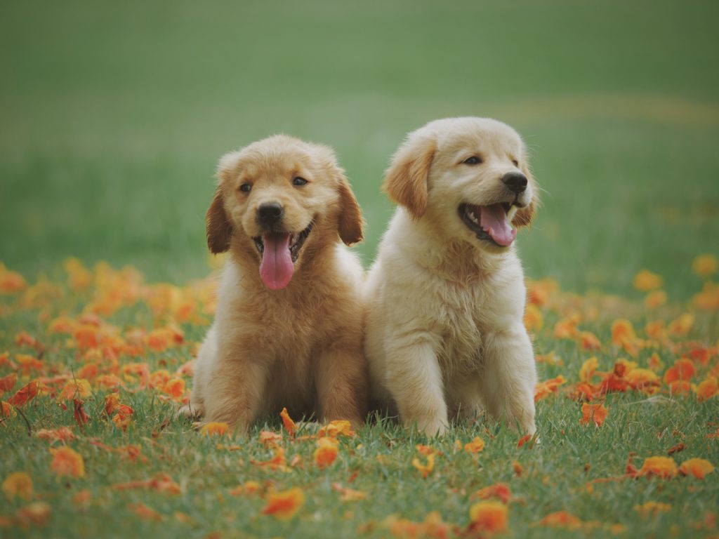 DTSEN Terobosan Baru: Penyaluran Bansos Lebih Tepat Sasaran dan Dukungan UMKM Memperkuat Ekonomi Lokal