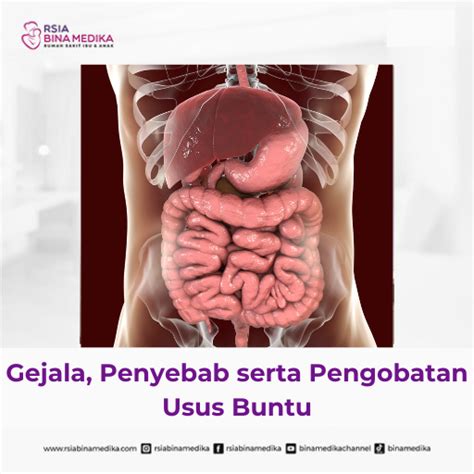 featured_image