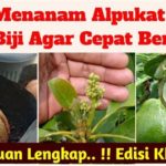 featured_image