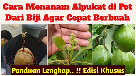 featured_image
