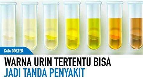 featured_image