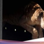 featured_image