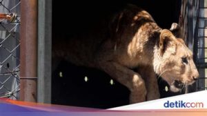 featured_image