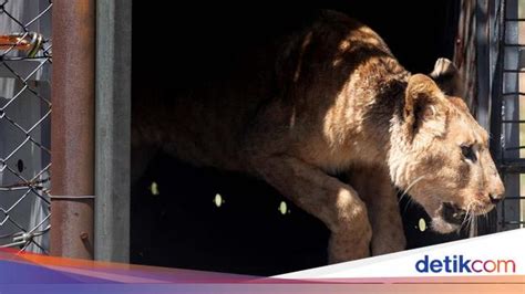 featured_image
