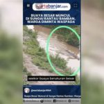 featured_image
