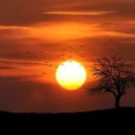 featured_image