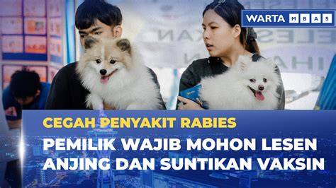 featured_image