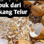 featured_image