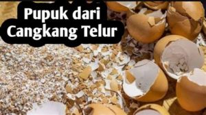 featured_image