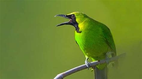 featured_image