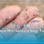 featured_image