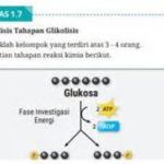 featured_image